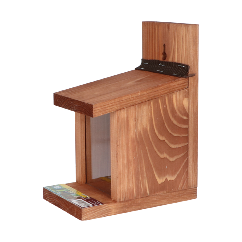 Eekhoorn voederhuisje