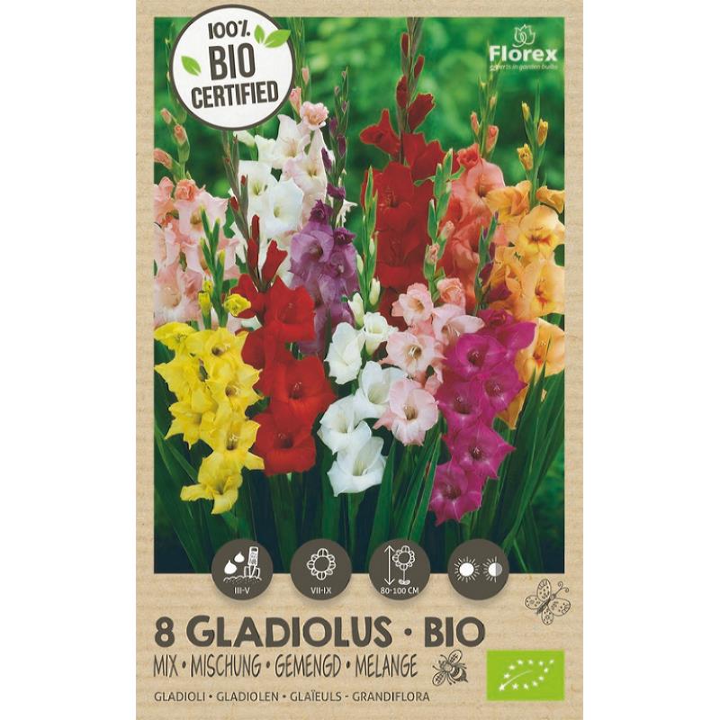 Biologische Gladiool Grandiflora mix, 6 stuks
