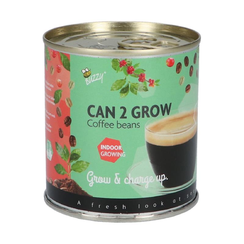 Can 2 grow Koffieplant
