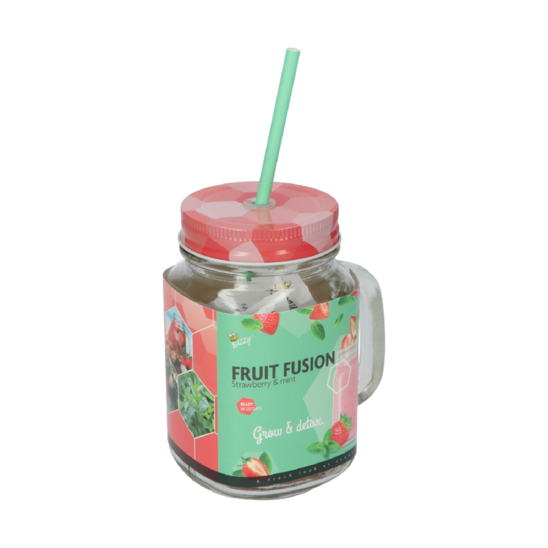 Fruit Fusion Aardbei & Munt