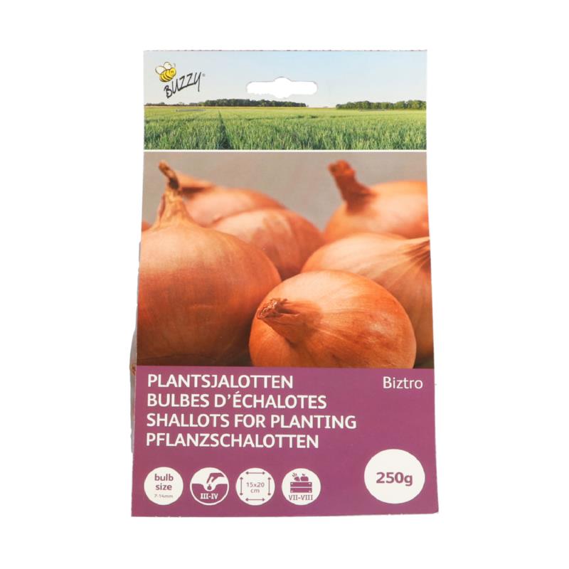 Plantsjalotten Biztro, rode 250g