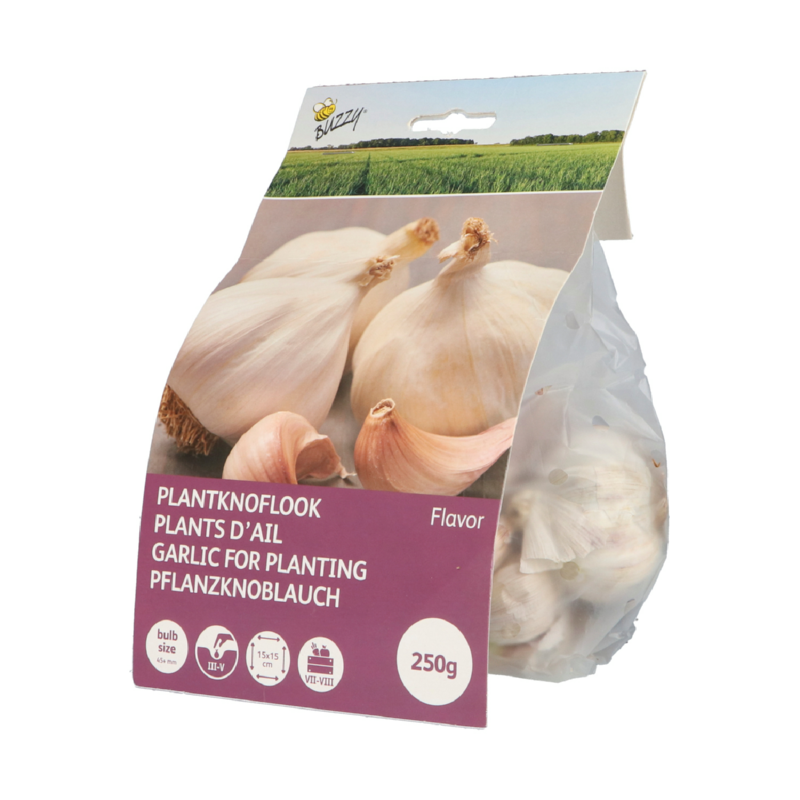 Plantknoflook Flavor
