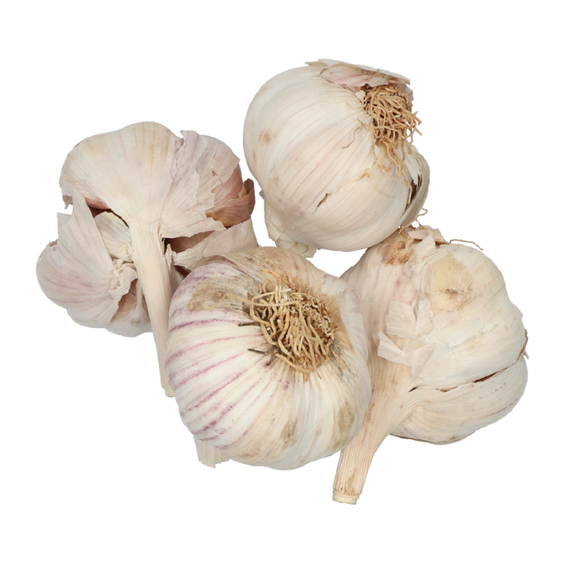 Plantknoflook Flavor