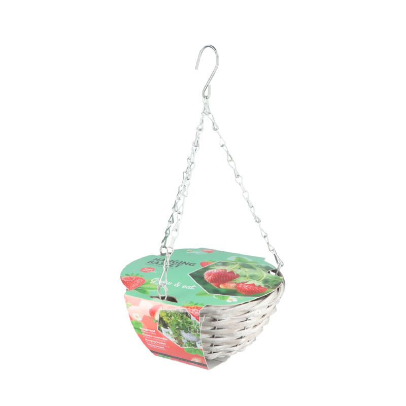 Happy Hanging basket aardbei