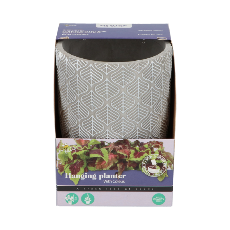 Hangende bloempot met siernetel zaden