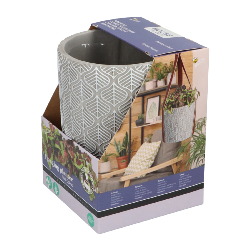 Hangende bloempot met siernetel zaden