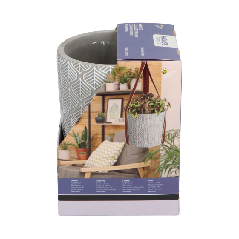 Hangende bloempot met siernetel zaden