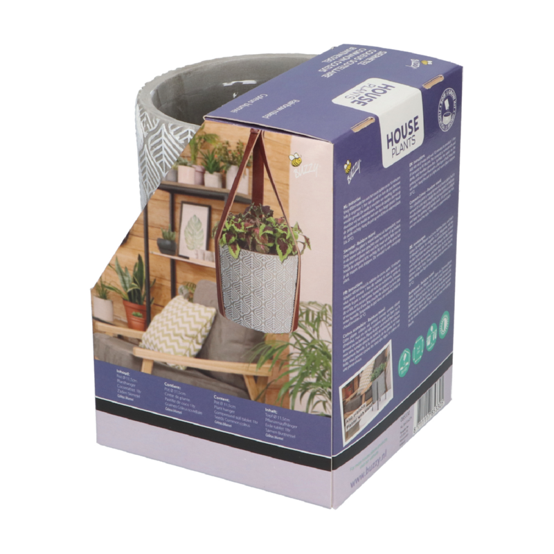 Hangende bloempot met siernetel zaden