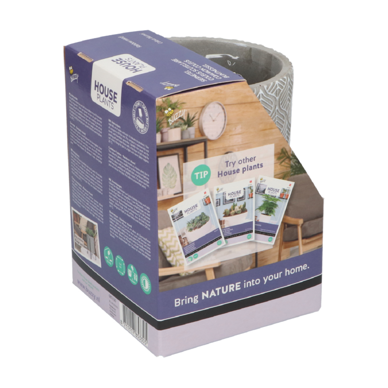 Hangende bloempot met siernetel zaden