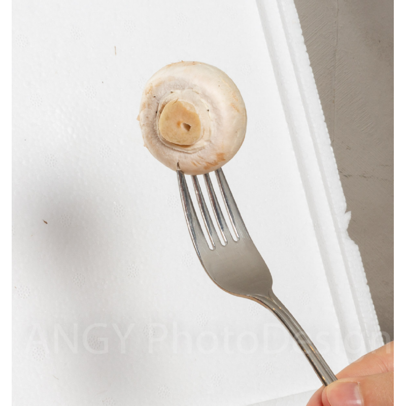 Kweekset witte champignons