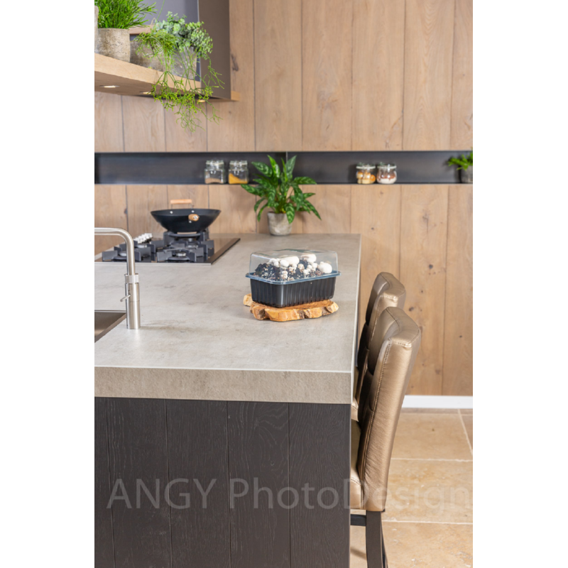 Kweekset witte champignons