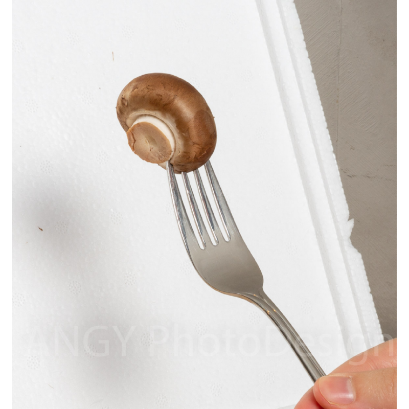 Kweekset bruine champignons