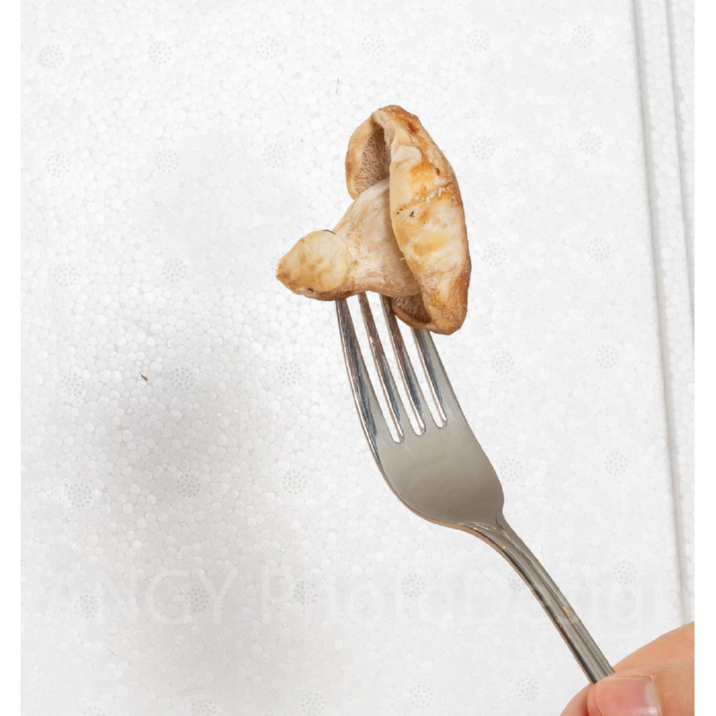 Kweekset grijze oesterzwam