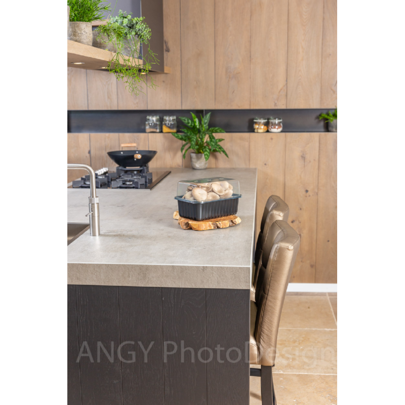 Kweekset grijze oesterzwam