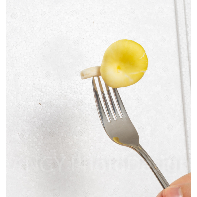 Kweekset gele oesterzwam