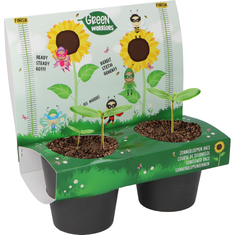 Green Warriors Zonnebloem wedstrijd, met biologisch bloemzaden