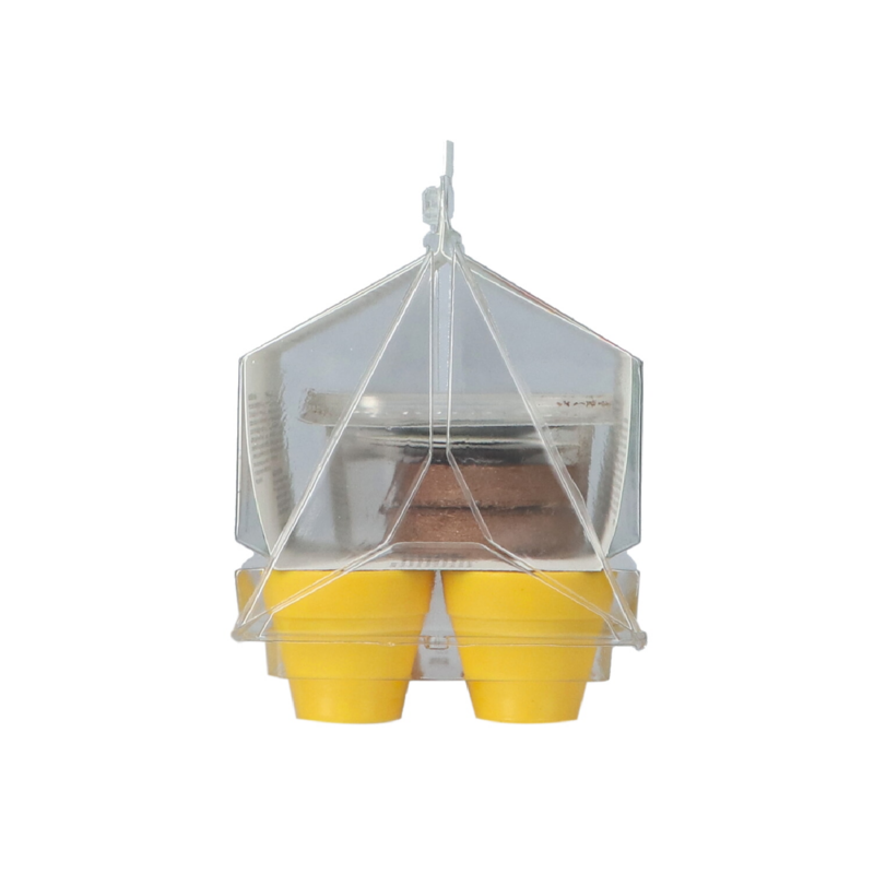 Kweekset Eetbare Bloemen Biologisch zaden Green Warriors