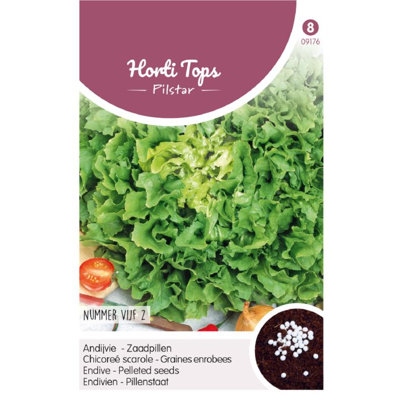 Andijvie - Nummer Vijf 2 Zaadpillen