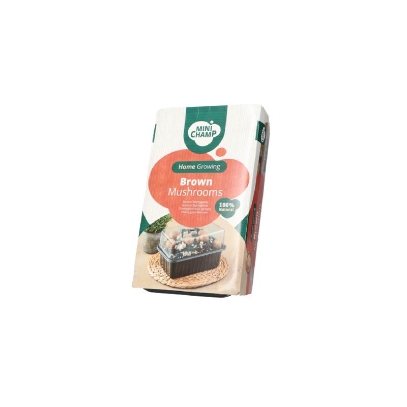 Kweekset bruine champignons
