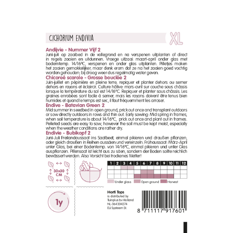 Andijvie - Nummer Vijf 2 Zaadpillen