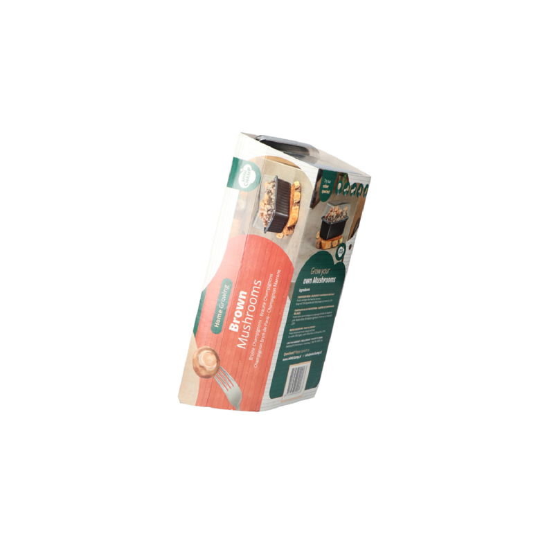 Kweekset bruine champignons