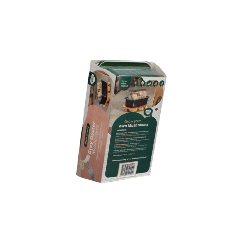 Kweekset grijze oesterzwam