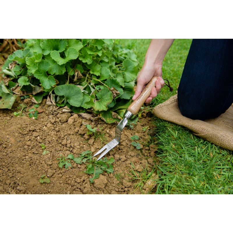 Onkruidwieder RVS voor het gazon, 30cm