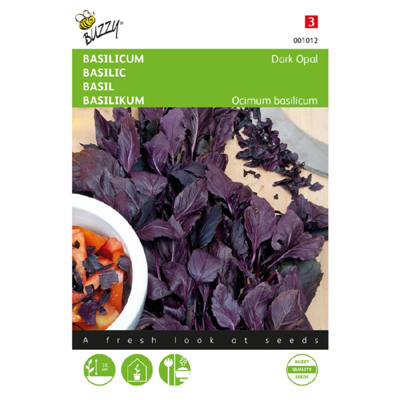 Basilicum Rode - Dark Opal