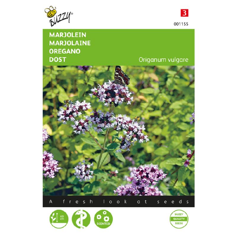 Marjolein, Oregano