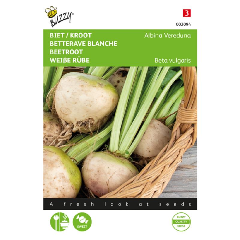 Biet Albina Vereduna wit