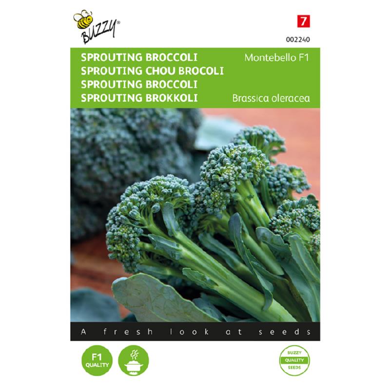 Sprouting Broccoli Montebello F1