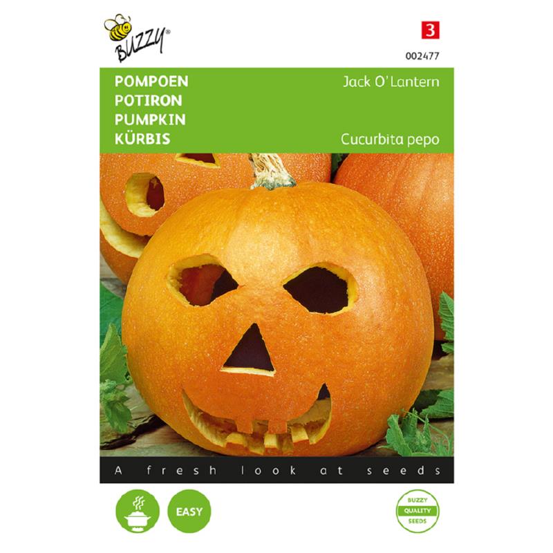Pompoen Jack O'Lantern