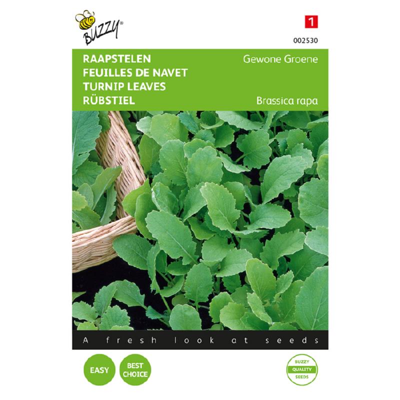 Raapsteel Groene Gewone