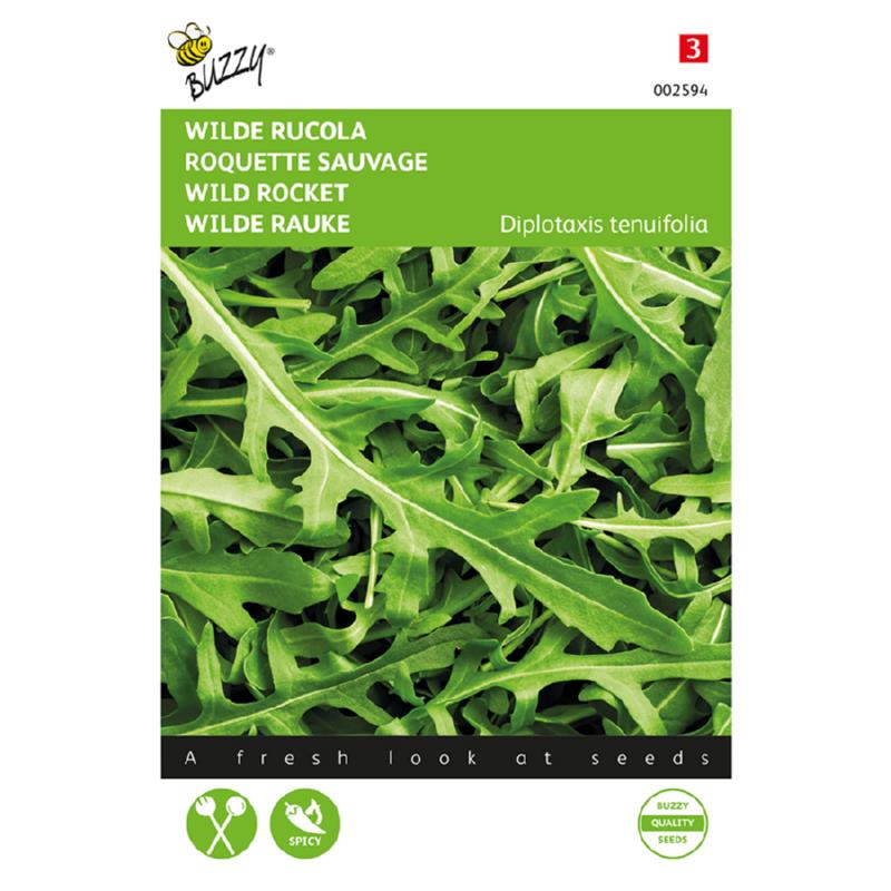 Rucola Selvatica