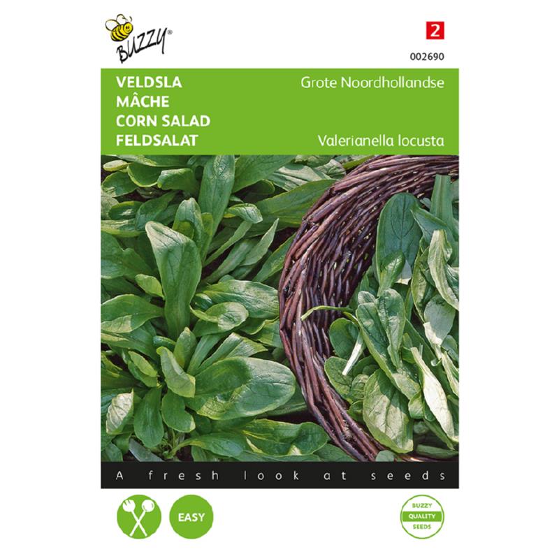 Veldsla Grote Noordhollandse