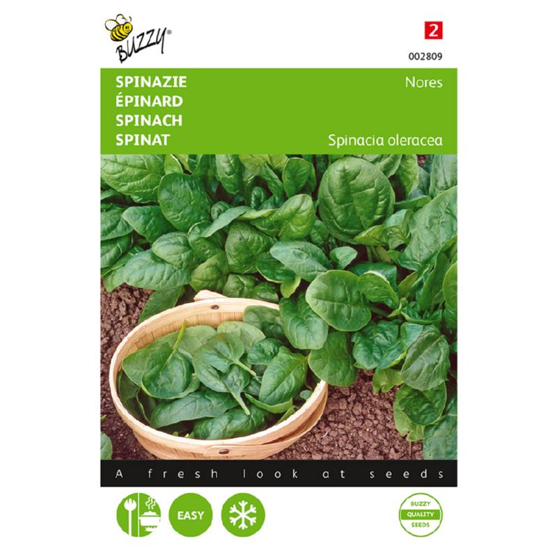 Spinazie zaden Nores rondzadig