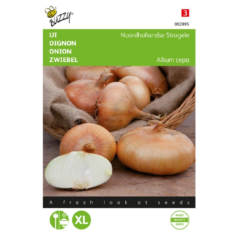 Ui Noordhollandse Strogele