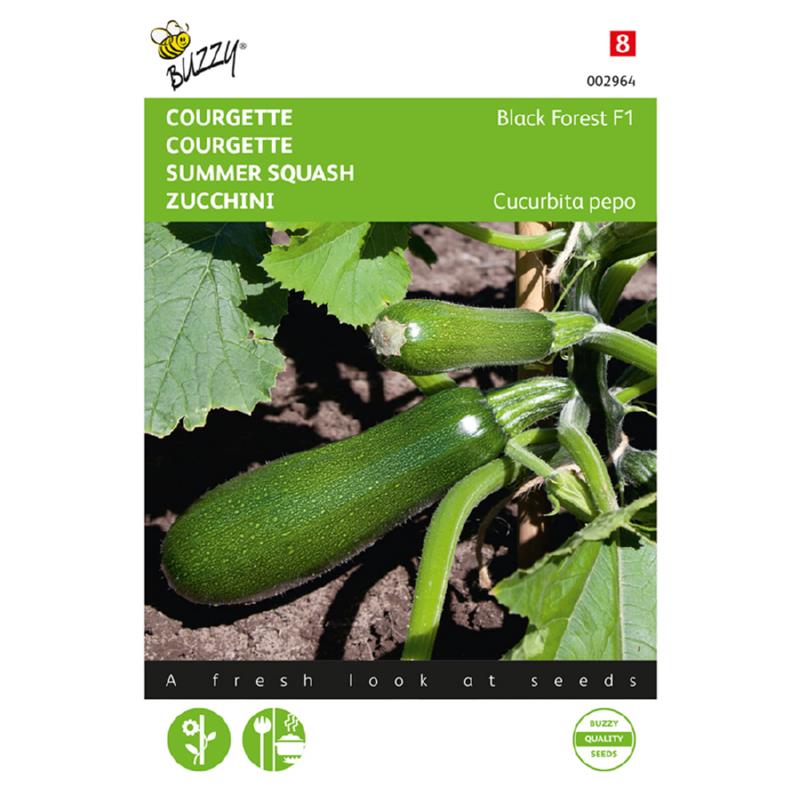 Courgette Klimmend Black Forest F1