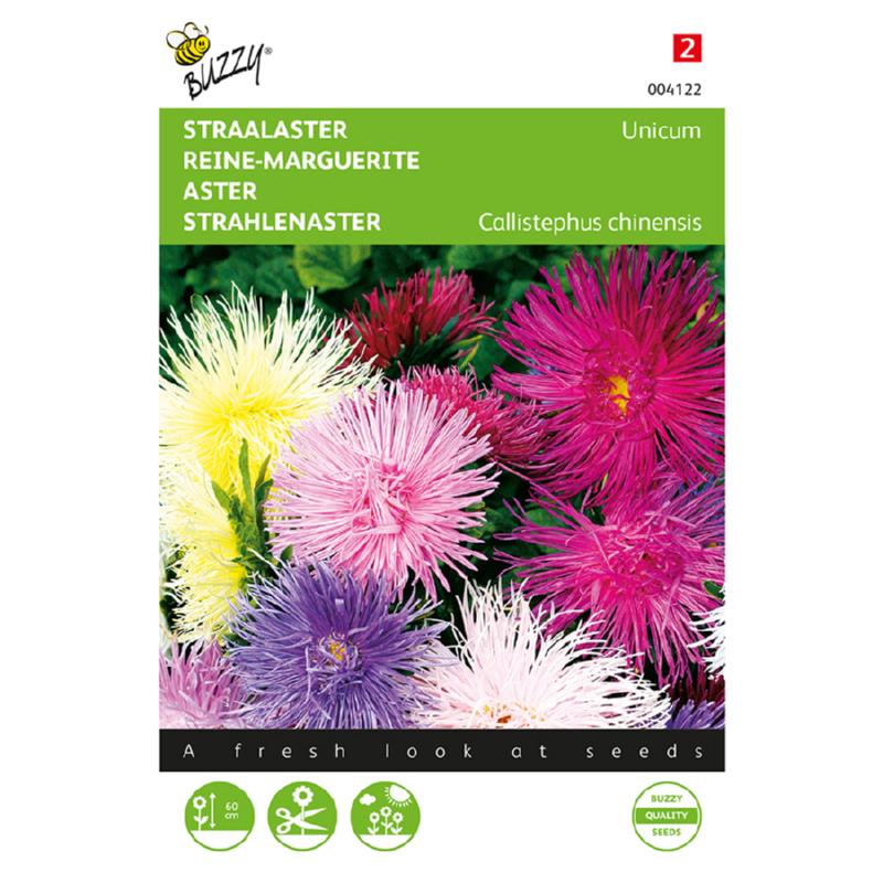 Callistephus, Straalaster Unicum, gemengd