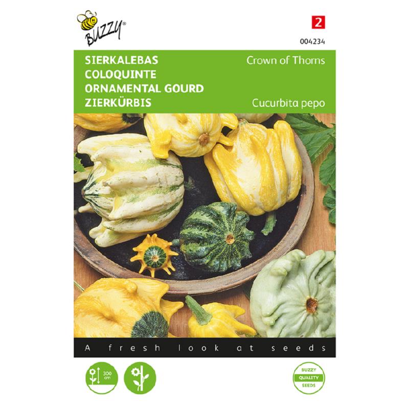 Cucurbita, Sierkalebas Crown of Thorns