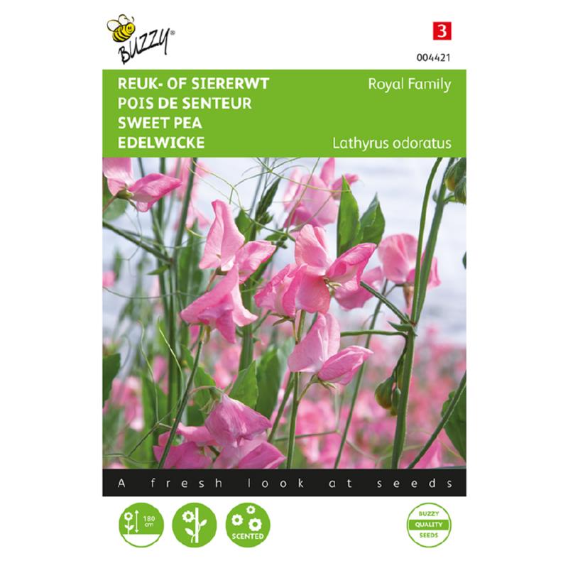Lathyrus, Reuk- of siererwt Royal Family roze