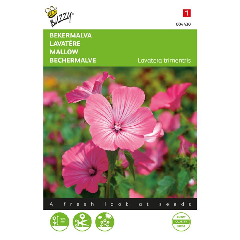 Lavatera, Bekermalva Roze/Rood