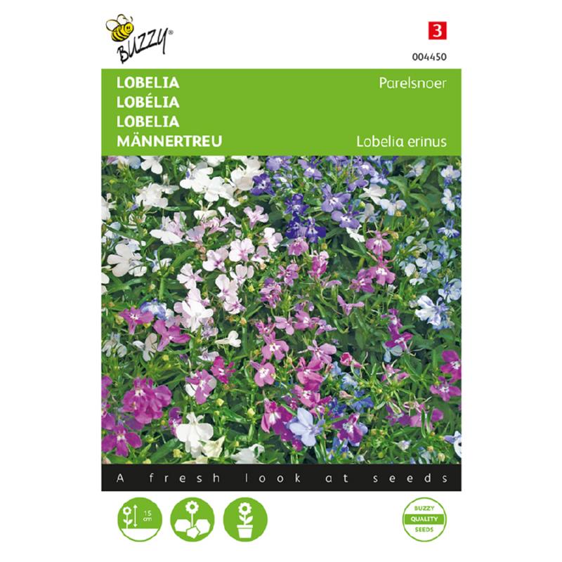 Lobelia Parelsnoer gemengd