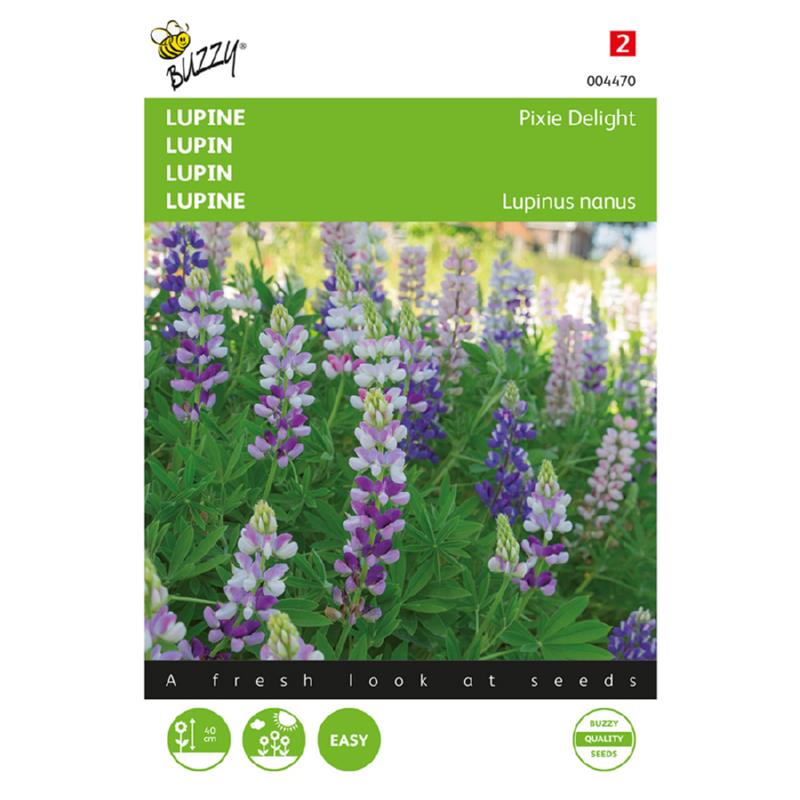 Lupinus, Lupine Pixie Delight gemengd