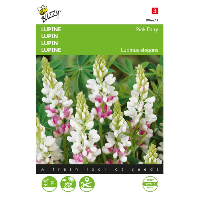 Lupinus, Lupine Pink Fairy