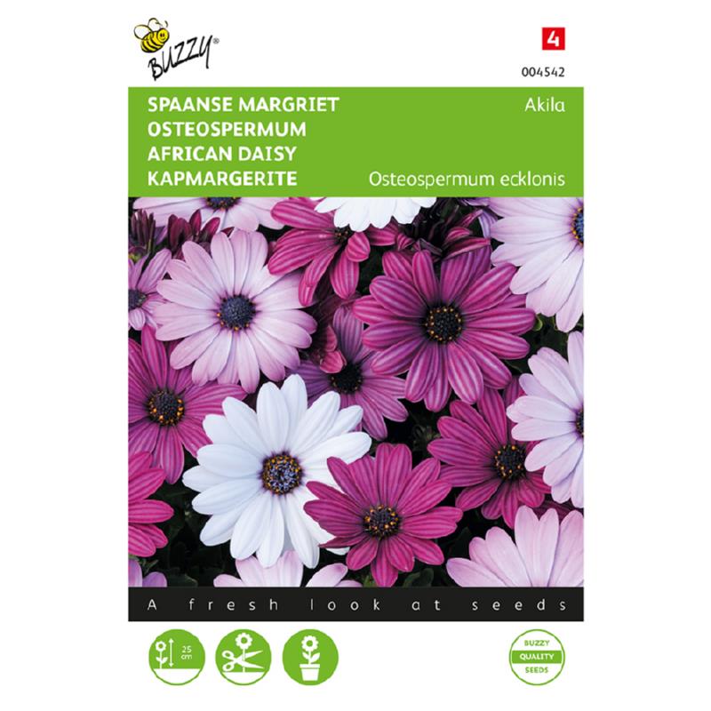 Osteospermum, Spaanse Margriet Akila mix