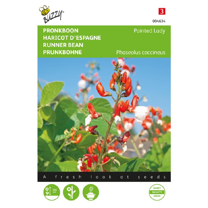 Phaseolus, Pronkboon Painted Lady