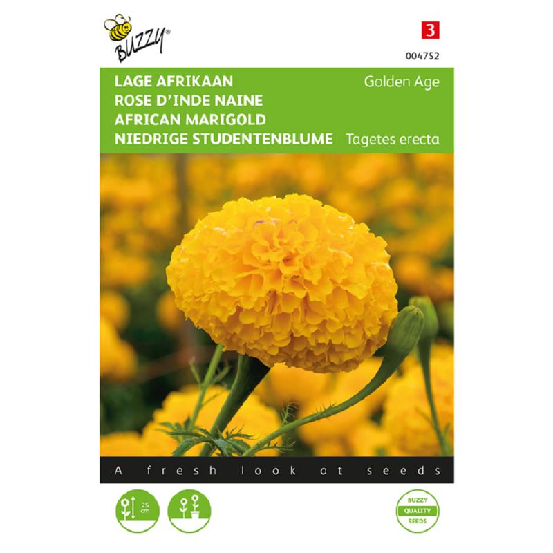 Tagetes, lage Afrikaan Golden Age