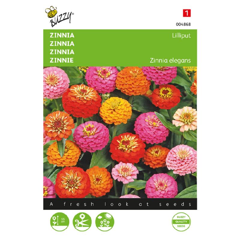 Zinnia Lilliput gemengd