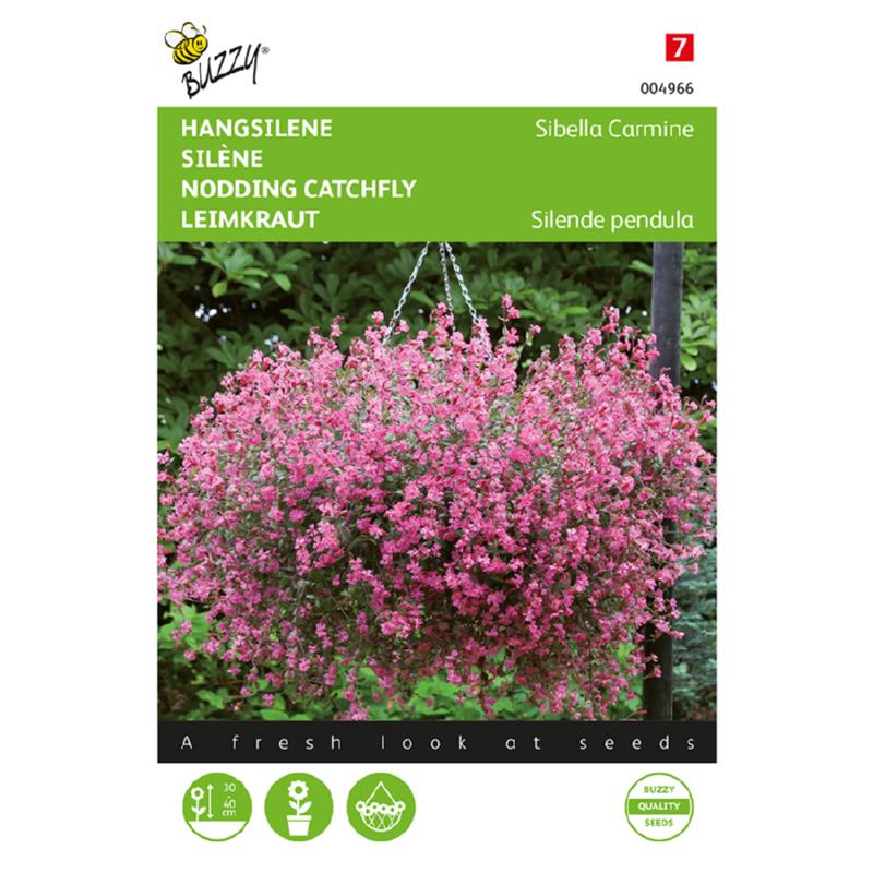 Hangsilene Sibella Carmine